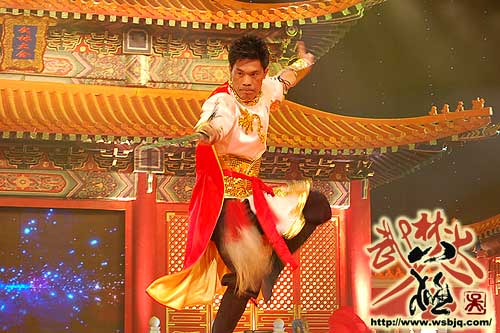 中华武术八极拳