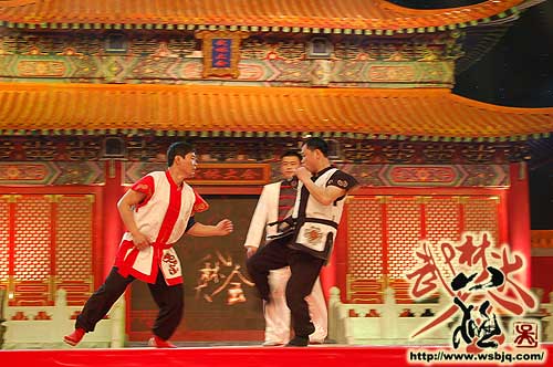 中华武术八极拳