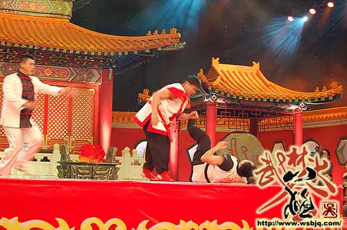 中华武术八极拳