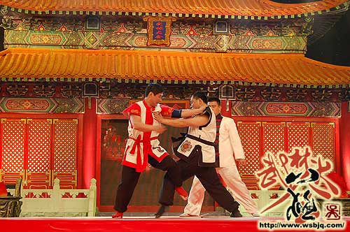 中华武术八极拳