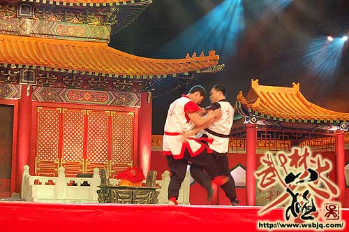 中华武术八极拳