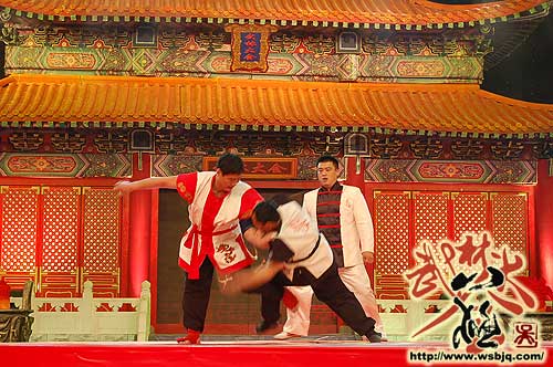 中华武术八极拳