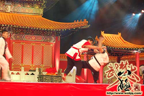 中华武术八极拳