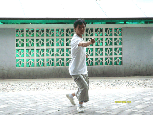 中华武术八极拳