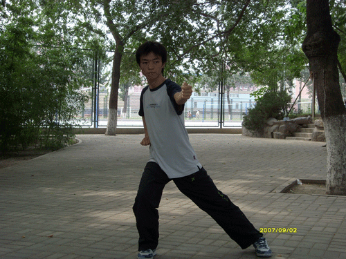 中华武术八极拳