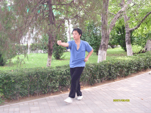 中华武术八极拳