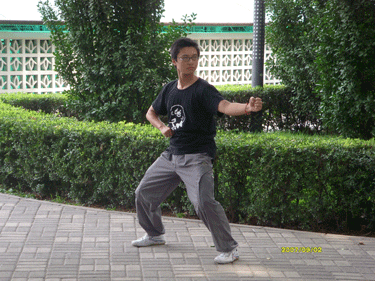 中华武术八极拳