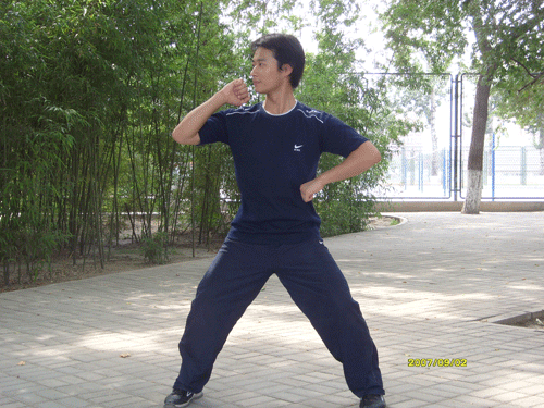 中华武术八极拳