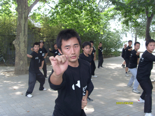 中华武术八极拳