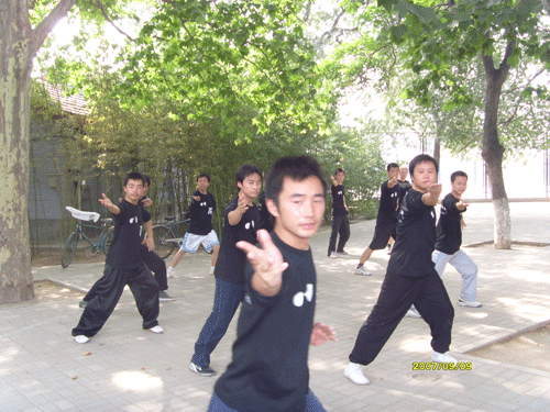 中华武术八极拳