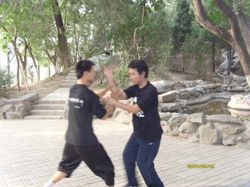 中华武术八极拳