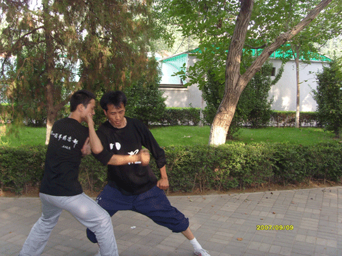 中华武术八极拳