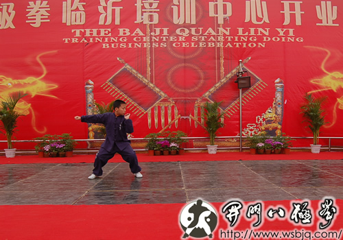 中华武术八极拳