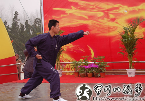 中华武术八极拳