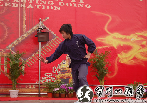 中华武术八极拳