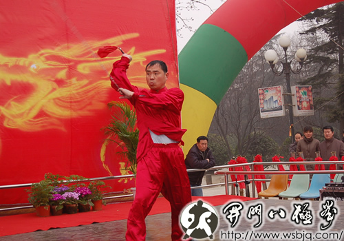 中华武术八极拳