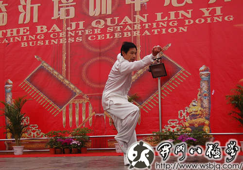 中华武术八极拳