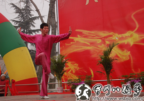 中华武术八极拳