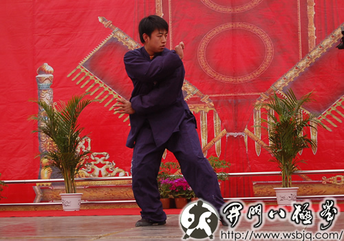 中华武术八极拳