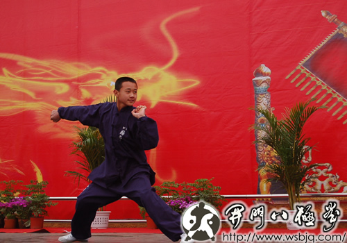 中华武术八极拳