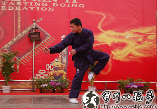 中华武术八极拳