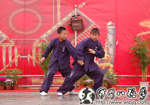 中华武术八极拳