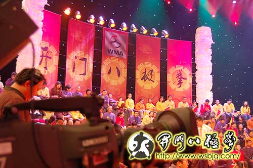 央视武林大会八极拳