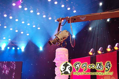 央视武林大会八极拳