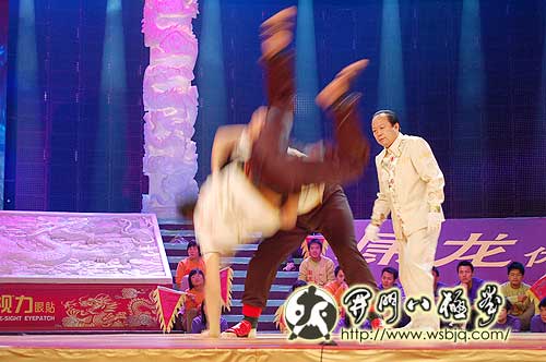 央视武林大会八极拳