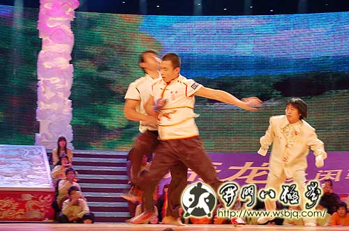 央视武林大会八极拳