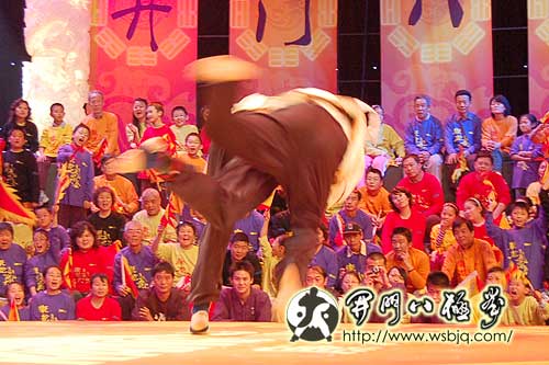 央视武林大会八极拳