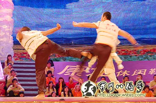 央视武林大会八极拳