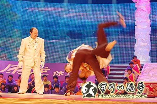 央视武林大会八极拳