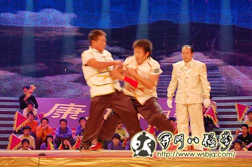 央视武林大会八极拳