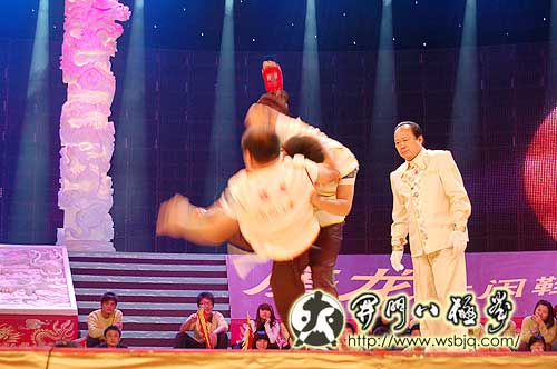 央视武林大会八极拳