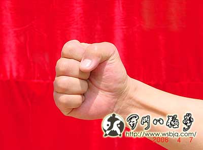 中华武术八极拳