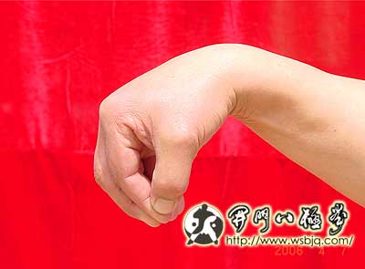 中华武术八极拳