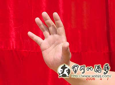 中华武术八极拳