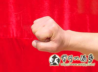 中华武术八极拳