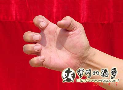 中华武术八极拳