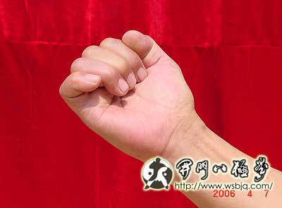 中华武术八极拳