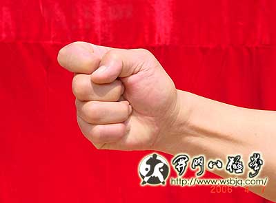 中华武术八极拳