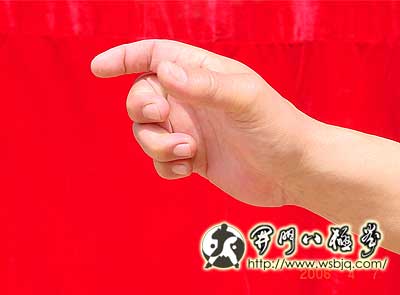 中华武术八极拳