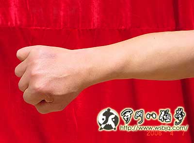 中华武术八极拳