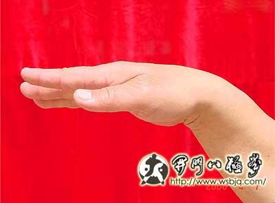 中华武术八极拳