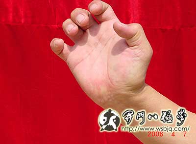 中华武术八极拳