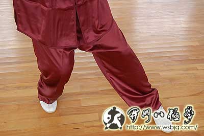 中华武术八极拳