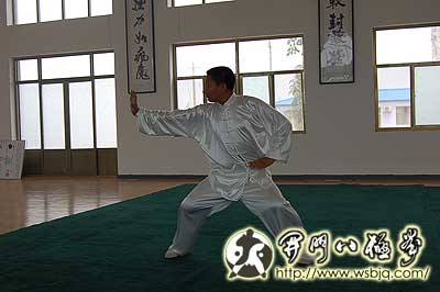 中华武术八极拳