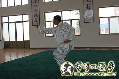 中华武术八极拳