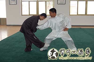 中华武术八极拳
